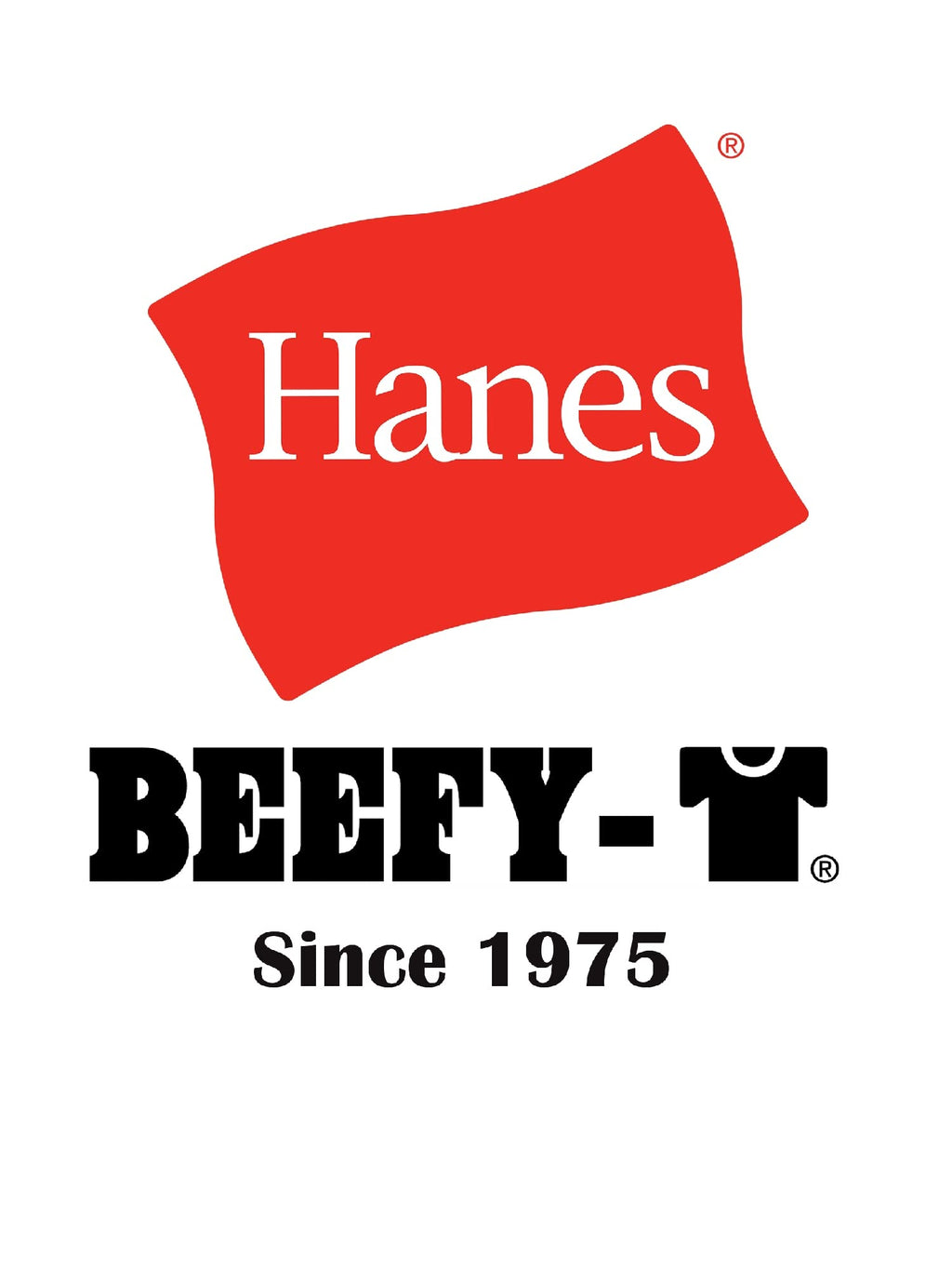 Hanes Mens Beefyt T-shirt, Heavyweight Cotton Crewneck Tee, 1 Or 2 Pack, Available In Tall Sizes Fashion-t-shirts, Black - 1 Pack, X-Large US