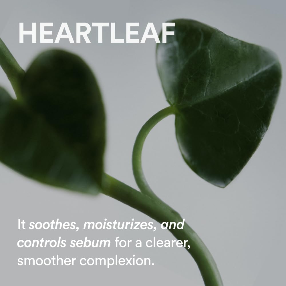 Abib Heartleaf Cream Calming Tube 2.53 fl oz I Korean Skincare Moisturizer for Soothing, Redness