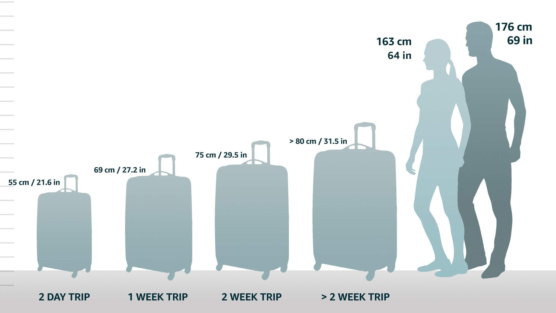 Amazon Basics Softside Carry-On Spinner Luggage Suitcase - 18 Inch (45cm), Black