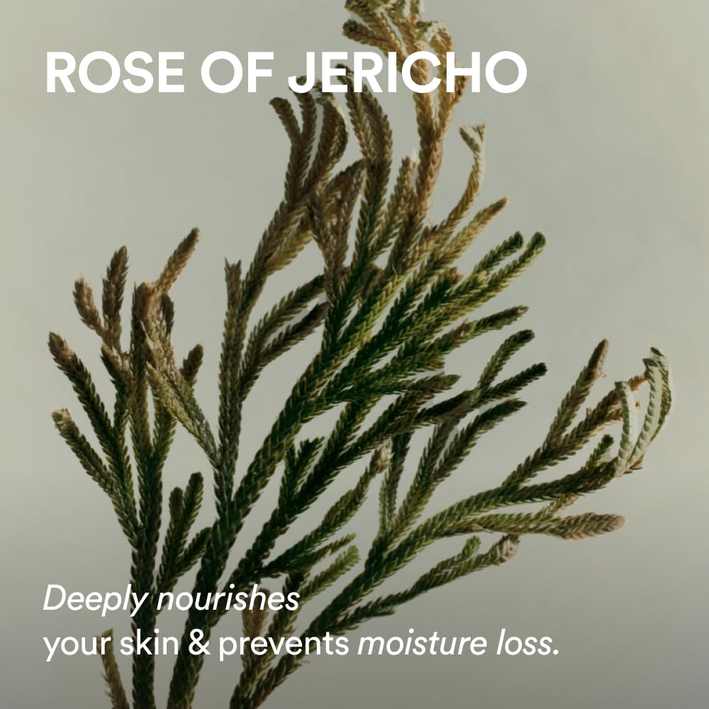 Abib Jericho Rose Non-animal Collagen Pad Firming Touch 60pads 8.45 fl.oz. | Korean Anti-aging Toner Pads for Face with Niacinamide, Peptides, Cleansing, Skin Care
