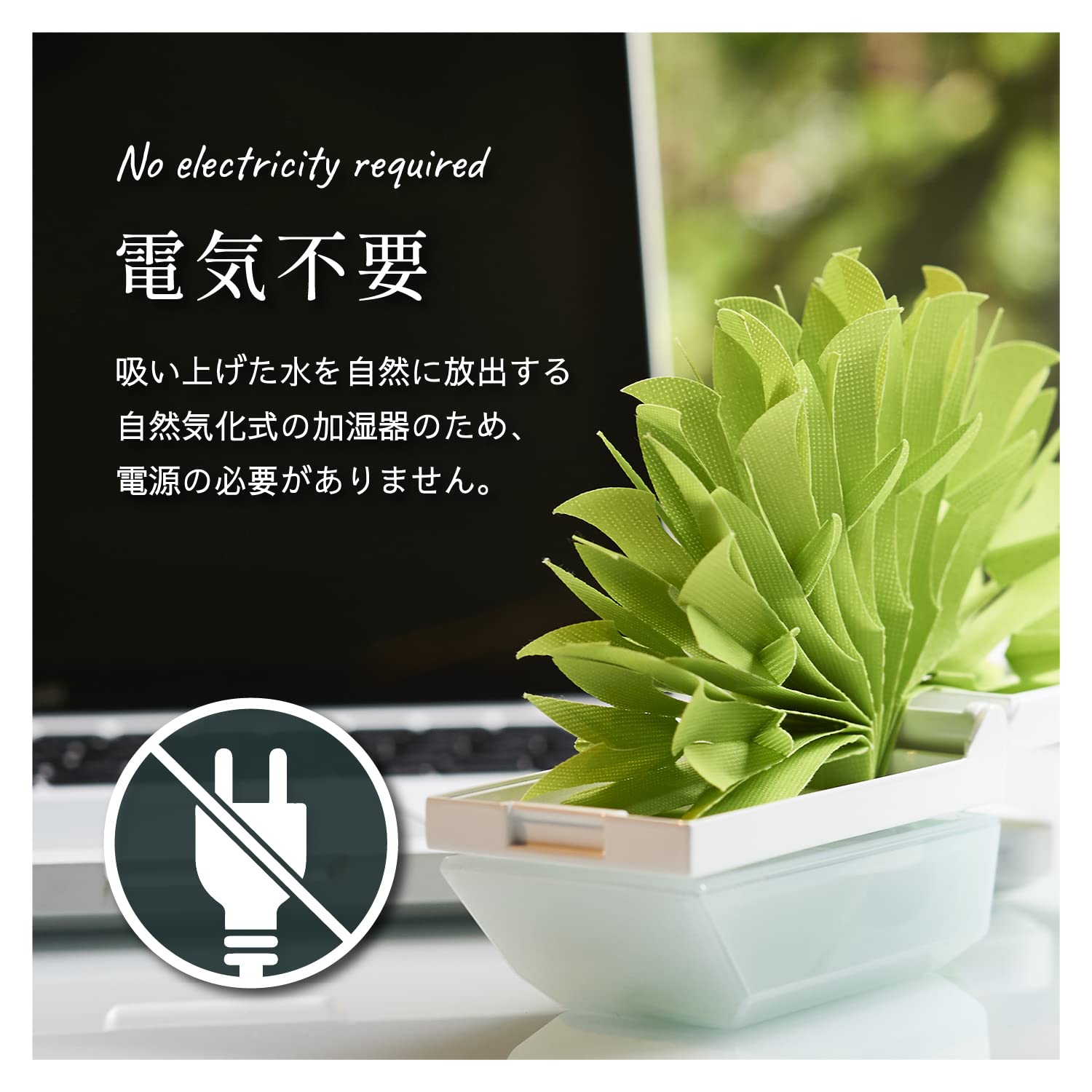 Mikuni Humidifier, Small Oasis Plus C, Coral Pink, U510-05, Eco Humidifier, Paper Humidifier, No Electricity Required, Energy Saving, Interior, Antibacterial, Mildew Resistant, Natural Vaporization,