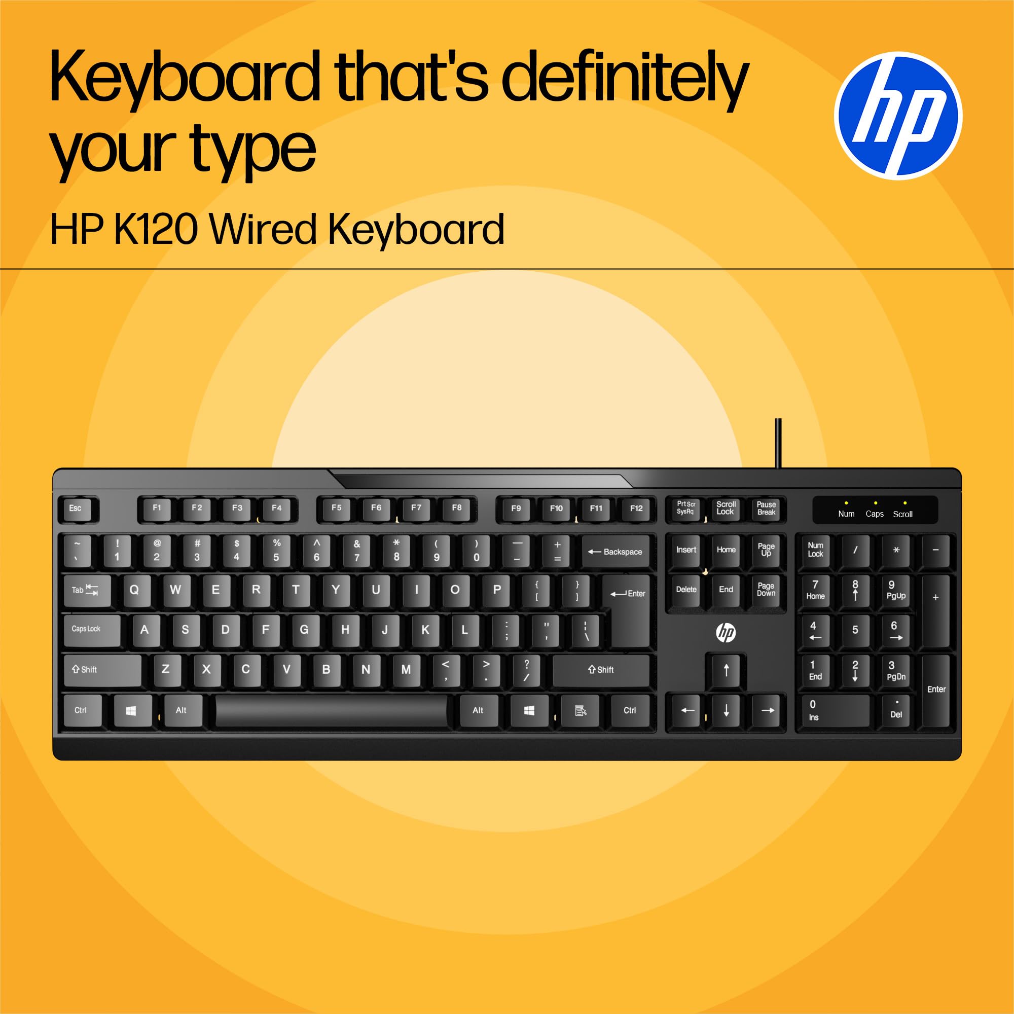 HP Teclado con cable K120