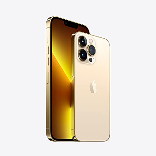 Apple iPhone 13 Pro Max (256 Go) - Or