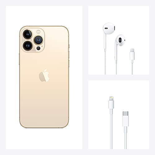 Apple iPhone 13 Pro Max (256 Go) - Or