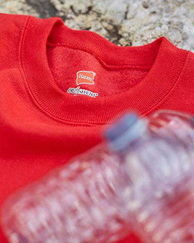 Hanes Men's Ecosmart Fleece Sweatshirt