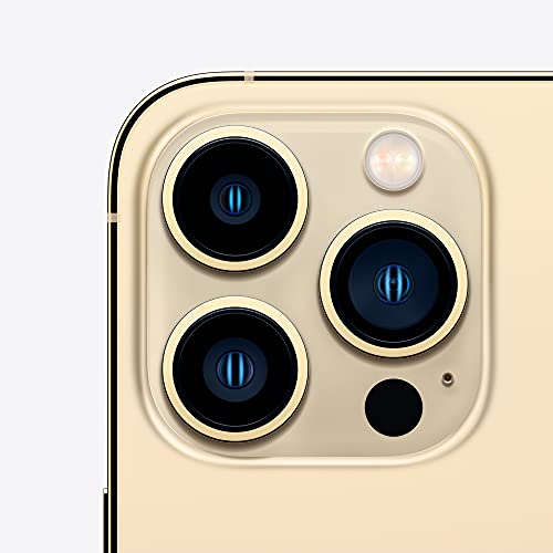 Apple iPhone 13 Pro Max (256 Go) - Or