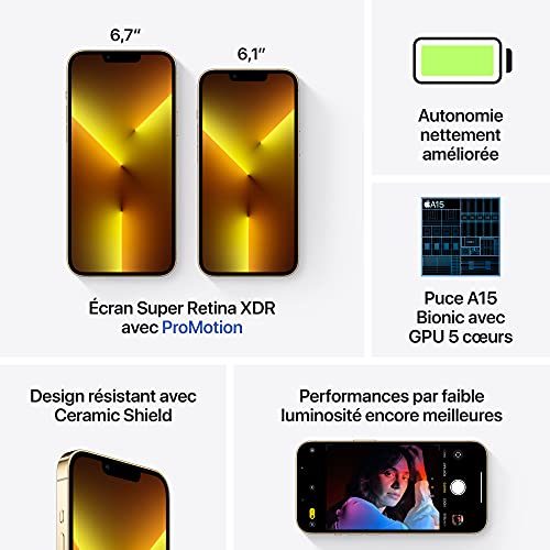 Apple iPhone 13 Pro Max (256 Go) - Or