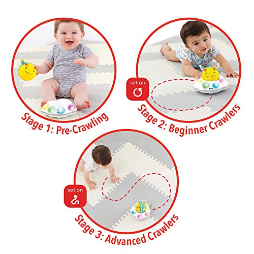 Skip Hop Explore & More Follow-me Bee 3-Stage Developmental Learning Crawl Toy