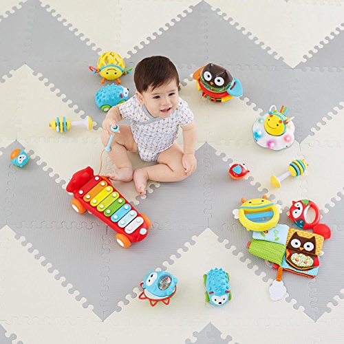 Skip Hop Explore & More Follow-me Bee 3-Stage Developmental Learning Crawl Toy