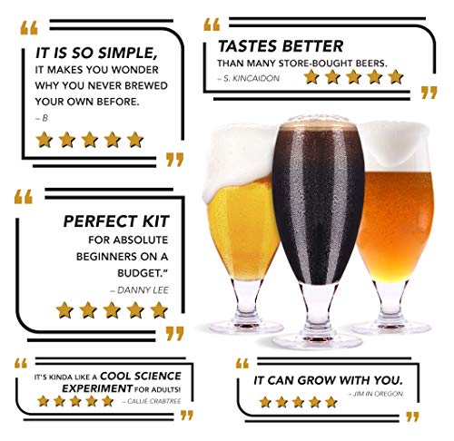 Mr. Beer 2 Gallon Complete Starter Beer Making Kit Perfect for Beginners, Designed for Quick and Efficient Homebrewing, Premium Gold Edition