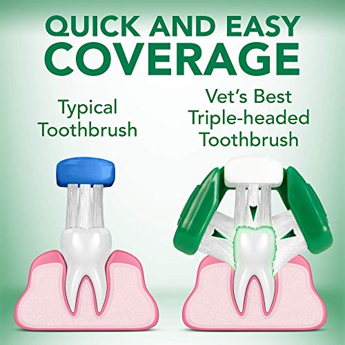 Vet’s Best Dog Toothbrush and Enzymatic Toothpaste Set | Teeth Cleaning and Fresh Breath Kit with Dental Care Guide | Vet Formulated