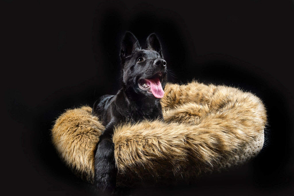 Luxury Dog bed pet bed for medium sized dogs -Luxury calming pet beds faux fur round donut dog beds or cat bed for small and medium pets . Fluffy, Fully washable pet bed with removable insert cover, quality filling and supportive shape, calming, self warm