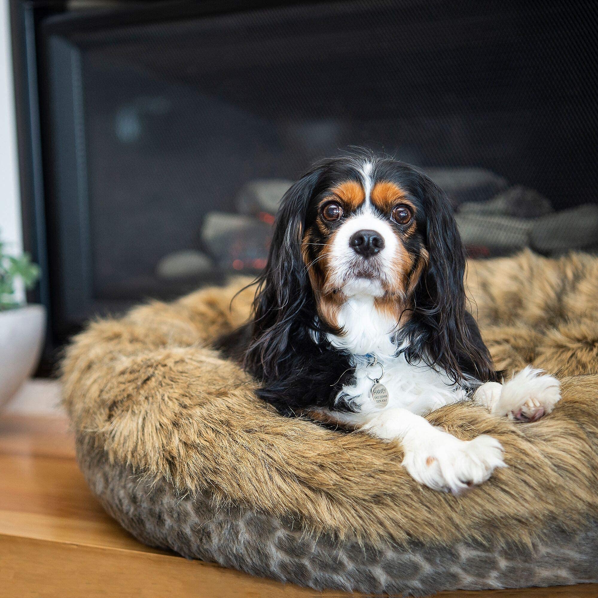 Luxury Dog bed pet bed for medium sized dogs -Luxury calming pet beds faux fur round donut dog beds or cat bed for small and medium pets . Fluffy, Fully washable pet bed with removable insert cover, quality filling and supportive shape, calming, self warm